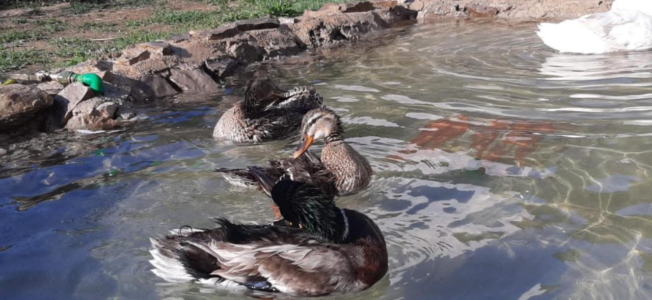 Ban Apartmani Budua Esterno foto