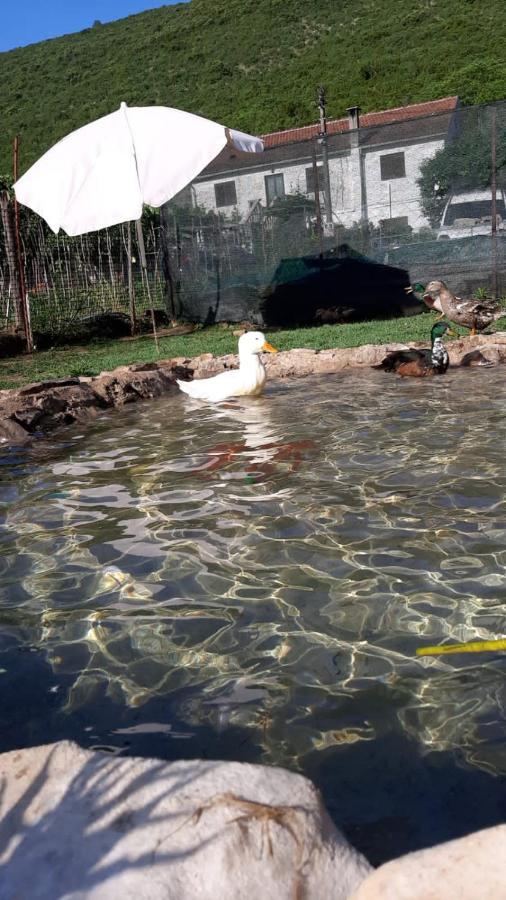 Ban Apartmani Budua Esterno foto